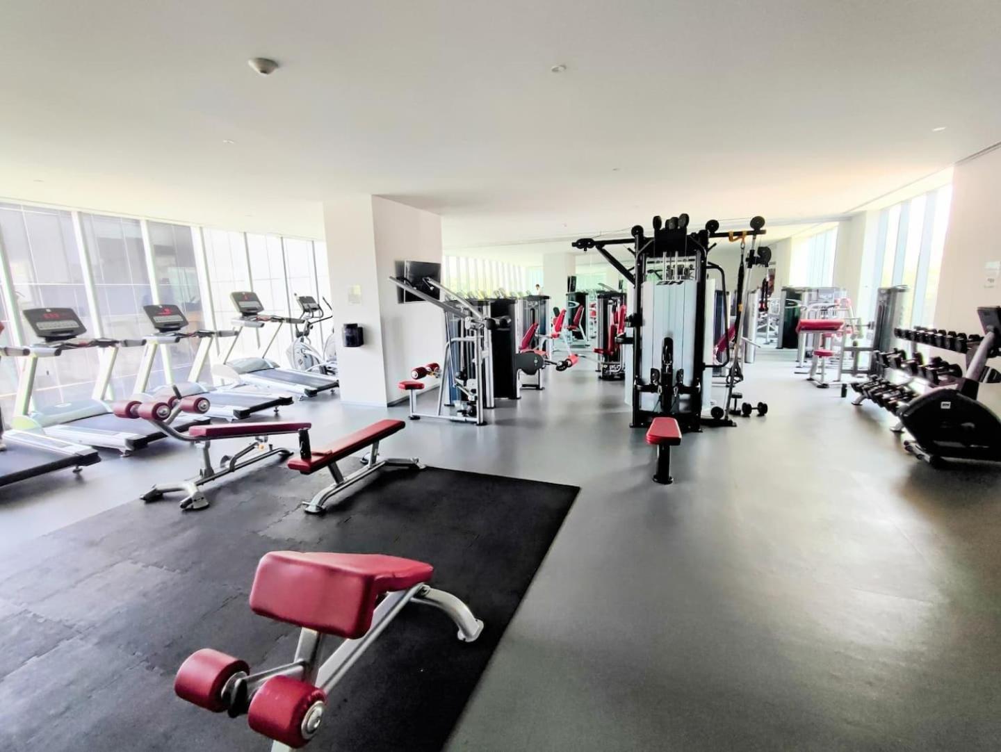 Alluring Views, Luxuriously Appointed In Polanco 墨西哥城 外观 照片